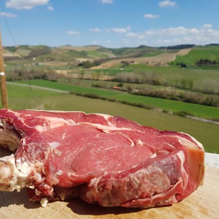 Agriturismo Montepinci Montalcino Esterno foto