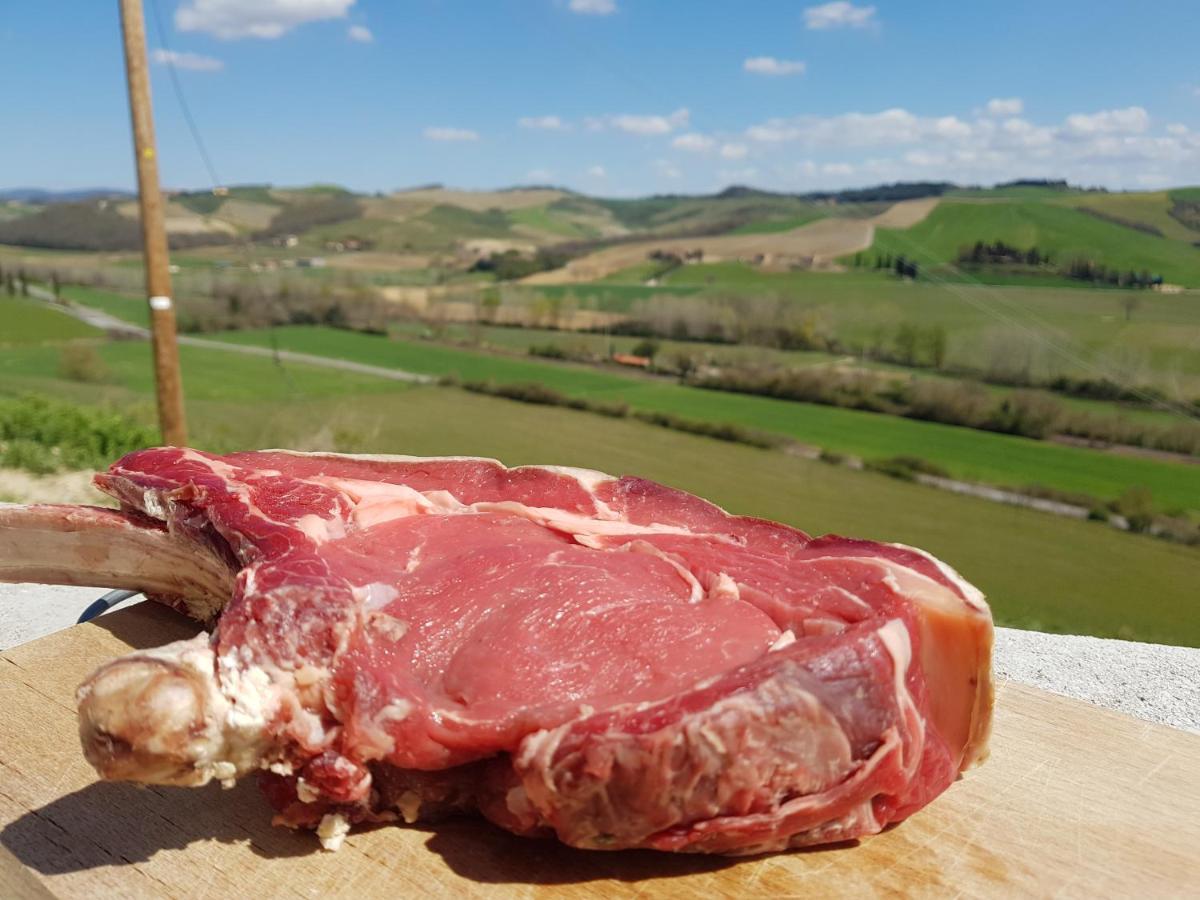 Agriturismo Montepinci Montalcino Esterno foto